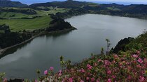 Private Half-Day Tour in Furnas São Miguel Island