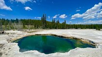 Half Day Private in Yellowstone Geyser Basin Tour