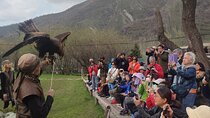 Almaty Hiking Adventure-Japanese Road and Eagle Show