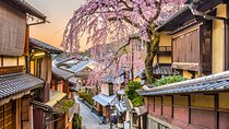 10 Day Japan Private Tour Unveiling Maximum Attractions