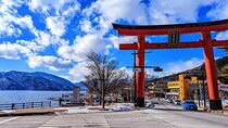 Full Day Nikko Private Tour with Multilingual Chauffeur