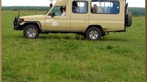 4 Day Group Safari Masai Mara & L Nakuru-4 WD 