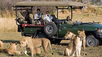 3 Day Safari Hluhluwe and Isimangaliso Wetlands Park from Durban