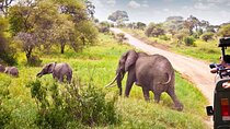 Full Day Hluhluwe Imfolozi Pvt Game Reserve Safari from Durban