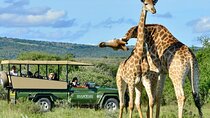 Tala Game Reserve, Natal Lion Park & Sani Pass from Durban 2 Days