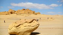 Wadi Al-Hitan Private Valley of the Whales Day Tour From Cairo