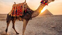 Pyramids Camel Ride from Cairo