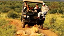 Half Day Safari Tala Game Reserve & Natal Lion Park from Durban