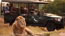 2 Day Hluhluwe Game Reserve & Isimangaliso Park from Durban