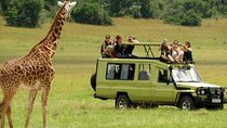 3 Days Drakensberg & Tala Private Game Reserve from Durban Tour