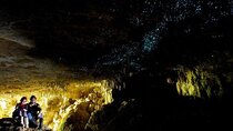 Waitomo Glow Worm Caves Tour from Auckland