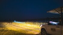 Night Game Drive in Zambezi National Park and Victoria Falls