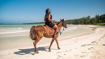 Horseback Ride and Swim Tour In Montego Bay