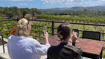 Premium Cretan Olive Oil Tasting, Wine, Raki and Local Food Tour