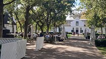 Full Day Stellenbosch, Franshoek &Paarl Wine Tasting Private Tour