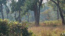 2 Night 3 Days Chitwan Jungle Safari Tour from Kathmandu