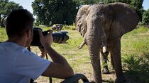 8 Days Kenya Wildlife Photographic Safari
