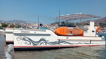 Taormina Dolfin 2-hour boat tour