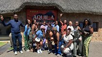 Aquila Safaris Park with Transportation and Lunch private tour
