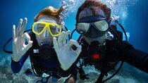 Diving experience in Polignano a Mare with certification