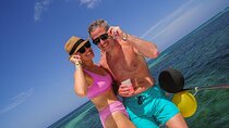 Sunset Cruise in Punta Cana: Private Catamaran w/ BBQ & Open Bar