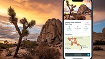 Joshua Tree National Park Self-Guided Audio Tour