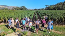Napa Valley Small-Group Wine Tasting Tour via San Francisco Ferry