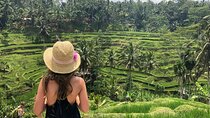 Bali Private Tour - Best of Ubud - All Inclusive