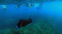 Nusa Penida 4 Spot Snorkeling with Manta and Island Tour