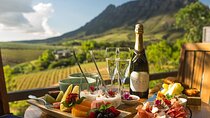 Private Table Mountain AFROGEM Constantia Wine Tasting Day Tour
