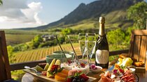 Small Group Wine Tasting Tour in Stellenbosch and Franschhoek