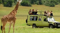 Full Day -Tala Game Reserve, Natal Lion Park, Phezulu From Durban
