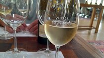  Top 5 Wineland for Private Wine Tasting & Pairing Experience