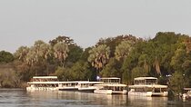 Victoria Falls: Standard Sunset Cruise on the Zambezi River