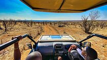 Safari Like It Used to Be – Raw, Real, and Roaring in Zambezi NP