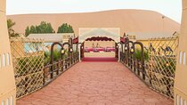 Abu Dhabi Desert Safari With Live Shows And BBQ Buffet Dinner