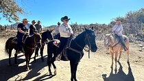 Horseback Ride Joshua Tree Forest Buffalo Lunch Singing Cowboy