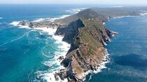  Table Mountain, cape peninsula& Penguins Colony Small Group Tour