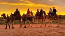 Camel Ride in Agadir & options at Sunset & Barbecue with Couscous