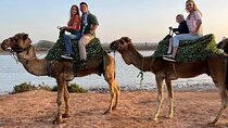 Camel Ride in Agadir at Sunset and Barbecue with Couscous