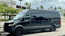 Honolulu Private Transfer: Airport, Port, Hotel (1-12 Passengers)
