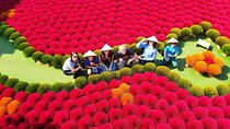Incense Village Small Group Of 9 Tour From Hanoi to Ninh Binh