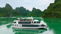 Halong Pamela Cruise 5 Star Luxury Day Tour Depart from Harbor