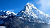 8 Days Poon Hill with Mardi Himal Base Camp Trek