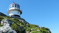 Cape Point and Boulder's Penguins Full Day Tour