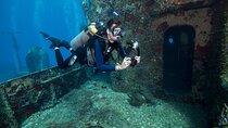 Miami Guided 2-Tank Scuba Diving: South Florida’s Reefs & Wrecks