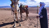 Marrakech Desert Dinner Show & sunset camel ride - Authentic