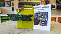 Dragonfly Suncatcher Art Kit in Estes Park