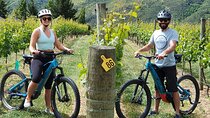 Guided eBike Wine Tour Ride to the Vines