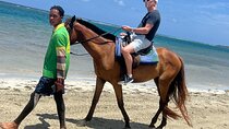 Horseback riding & bluehole secret falls from Montego Bay